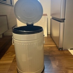 ペダルペールソフトクローズ 20L(アイボリー)の画像