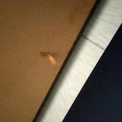 電子ピアノ（動作確認済み）の画像