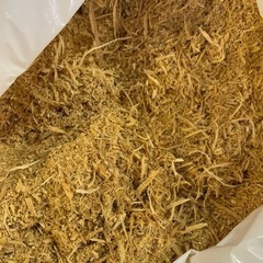 おがくず　鋸屑　楠木　未乾燥　チェーンソーくず