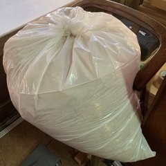 おがくず　鋸屑　楠木　未乾燥　チェーンソーくずの画像