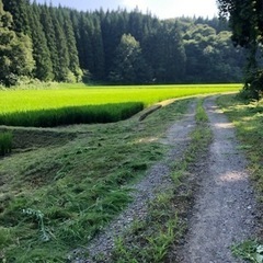 令和6年度　農作業員募集🚜の画像