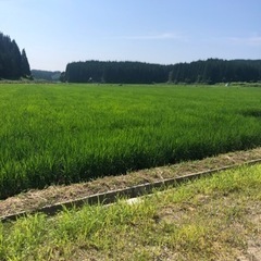 令和6年度　農作業員募集🚜の画像