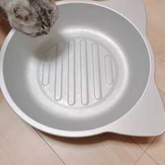 ねこ鍋の画像