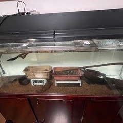 180cmアクリル水槽の買い取り（引き取り）依頼の画像