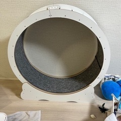 キャットホイール  恐らくLサイズの画像
