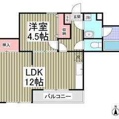 💚💚綺麗な築浅物件！💚1LDK / 38.83㎡💚💰フリーレント...