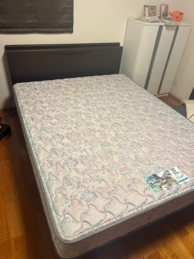 クイーンベット