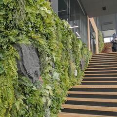 【日払い可】【単発】作業補助の画像