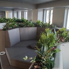 【日払い可】【単発】作業補助の画像