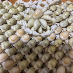 昭和レトロ　全て貝殻で作られたミニショルダーバッグの画像