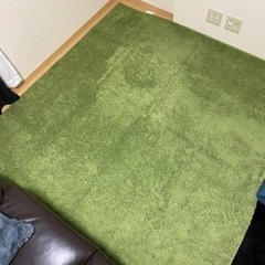 ニトリ　ラグ