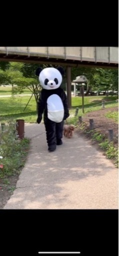 パンダ　着ぐるみ
