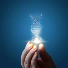 気持ちも体も軽くなるDNA アクティベーション