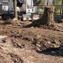 庭石でお困りの方助けます、