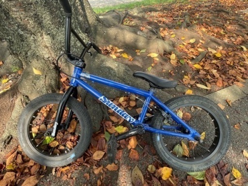 BMX Sunday bikes 2023 PRIMER 16