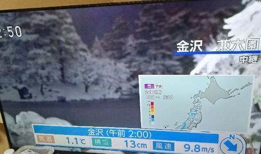 再度募集しました。2022年式　43型です