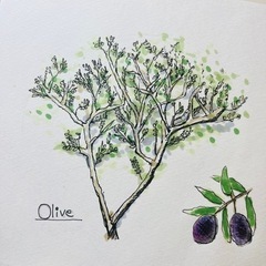 材料費だけで外構、庭、ファサード、植栽します！