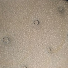 ダブルベッド&マットレスの画像