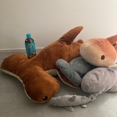 サメのぬいぐるみセット