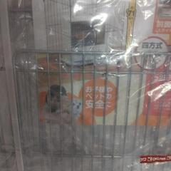 ストーブガードの画像