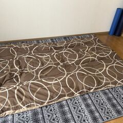 羽毛布団（シングル）＆ニトリ2枚合わせ毛布（シングル）