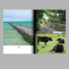 沖縄県　与那国島　波照間島　竹富島　鳩間島　黒島　西表島の写真集です！の画像