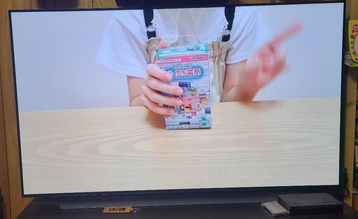 テレビ 55型
