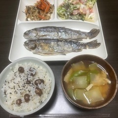 食べれるお魚釣り🐟 - スポーツ