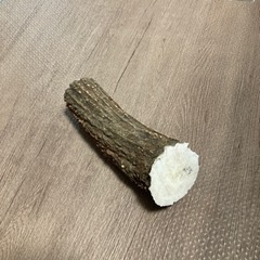 大型犬用　鹿の角　値下げの画像