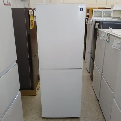 SHARP 冷蔵庫 19年製 280L              TJ2999