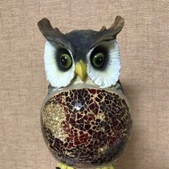 フクロウの照明の画像