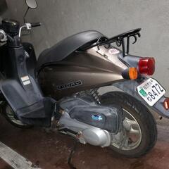 ホンダトゥデイ50の画像