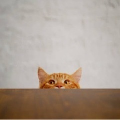 女性のお友達募集✩⃛