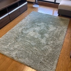 イケヤのラグマット（ほぼ使用してない）