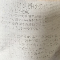 何かご購入で無料　羽毛入り　リバーシブル　ブランケット　膝掛けの画像