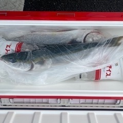 ジギング仲間募集