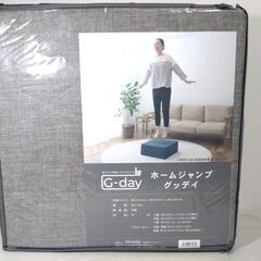 【新品・未使用・未開封】 ホームジャンプ グッデイ
