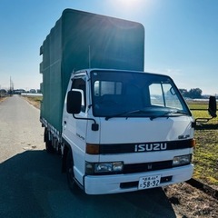 いすず エルフ❗️ 車検付き❗️ワンオーナー❗️乗って帰れます‼️