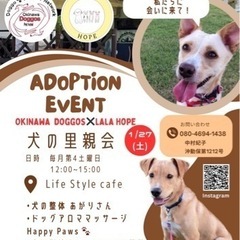犬の里親会🐕＆犬の整体＆ドックアロママッサージ＆犬のしつけ相談あり