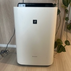 SHARP 空気清浄機