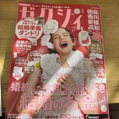 3月号ゼクシィミッフィー婚姻届付き
