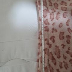 PASSの画像