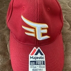 プロ野球チームの帽子(バラ売り可)の画像