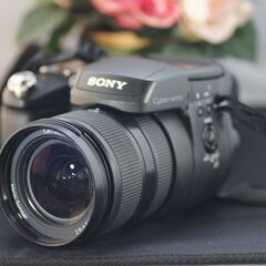  再値下げ！！稀代の名機　SONY　R1　すぐ使える！　【ジャンク】