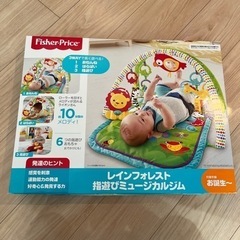 【新品未開封】指遊びミュージカルジム
