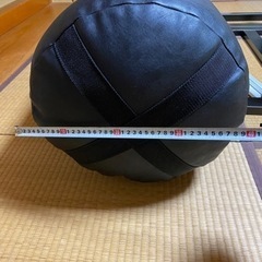 吊り下げ式サンドバッグ(ファイティングロード)の画像