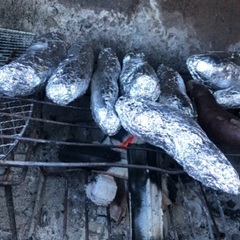 炭火焼き芋(紅はるか)、食べにきませんか！