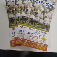 マザー牧場招待券　4枚　1月31日まで