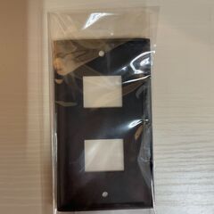 ゴーリキアイランド　真鍮製コンセントプレート　マットブラック　2個口用の画像
