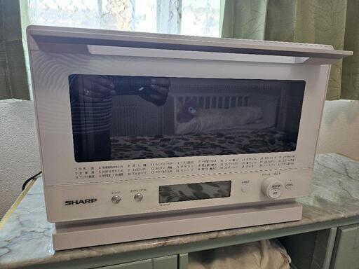 シャープ電子レンジ　破損あり